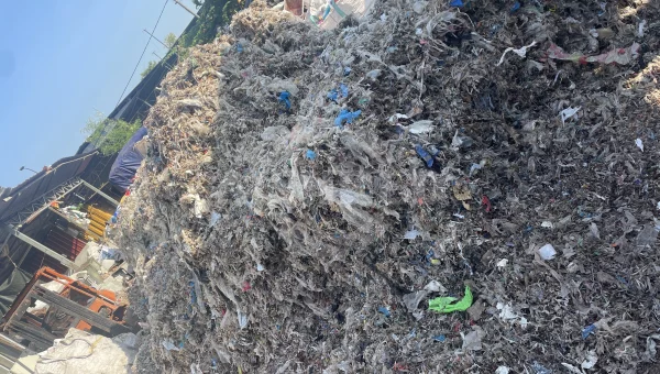 Shred Waste From Pulp and Paper Factory Rejects to Produce Alternative Fuel