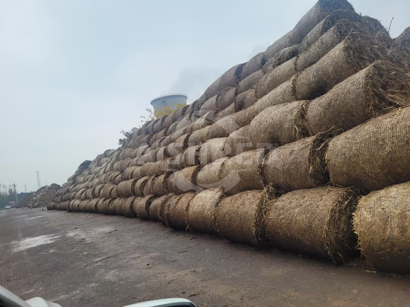 Biomass in the raw material yard of co firing power plant