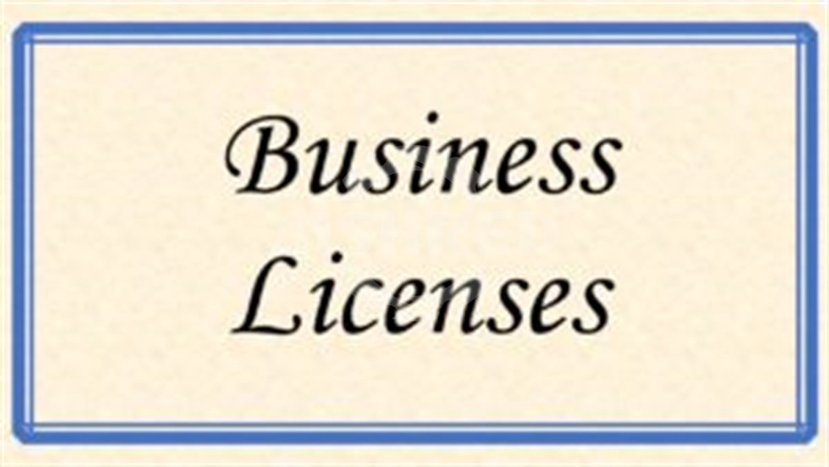 Business Licenses